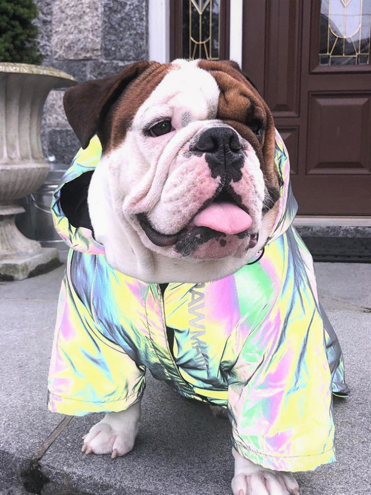 Microcrystalline reflective dog clothes - - Pets Crazy Shops -