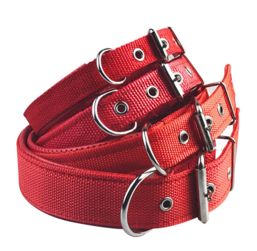Nylon foam leather pet collar collar 3 color dog collar sponge pet supplies traction - - Pets Crazy Shops -