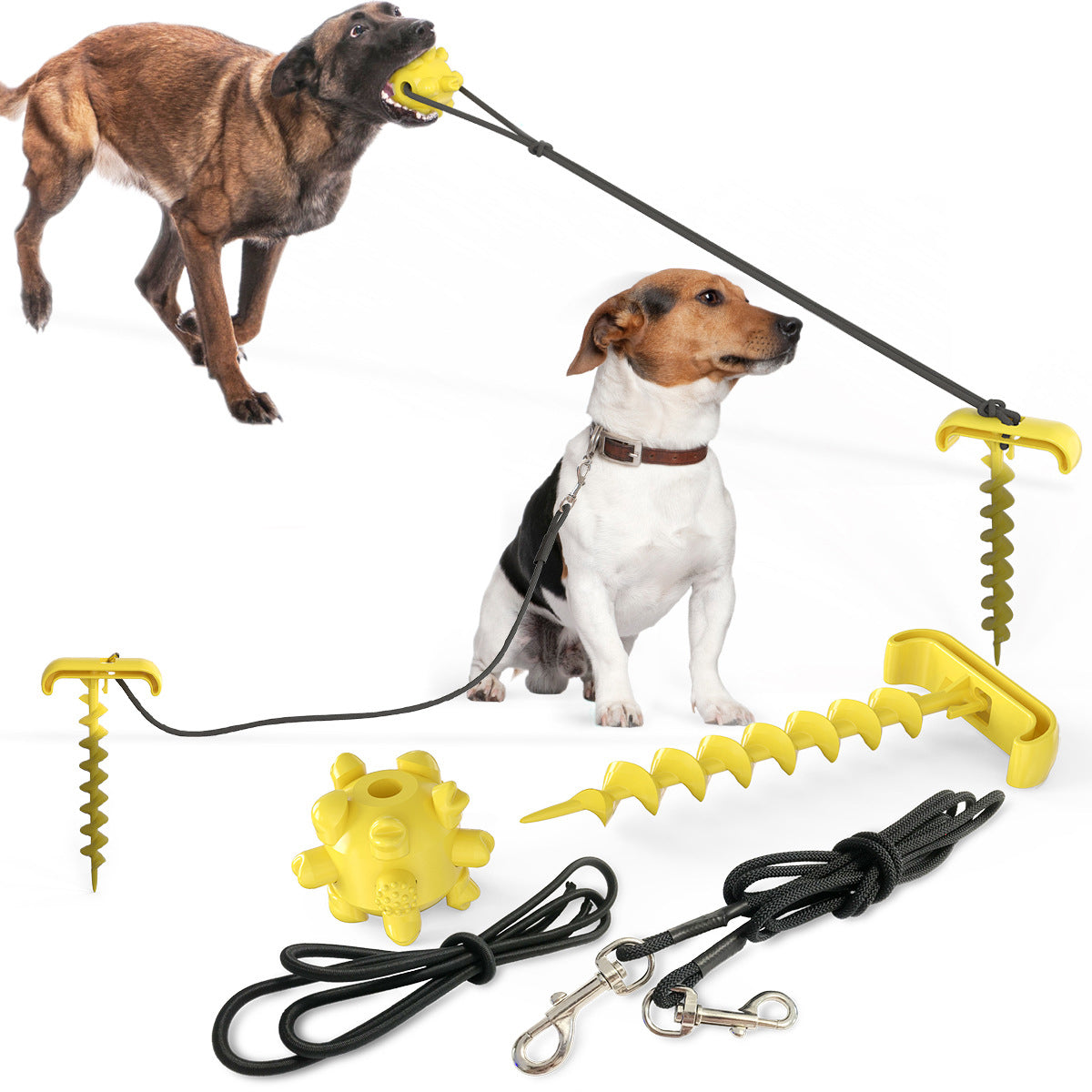 Tie dog leash dog toy - - Pets Crazy Shops -