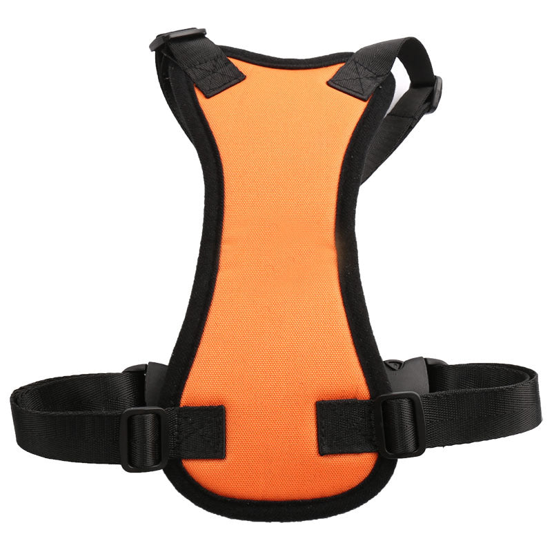 Car seat belts for pets - - Pets Crazy Shops -