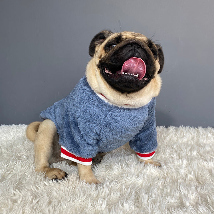 Pet sweater - - Pets Crazy Shops -