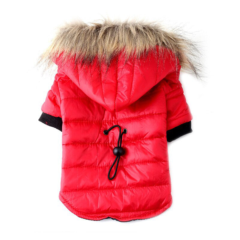 Pet Clothing Autumn And Winter Pet Sweater Teddy - - Pets Crazy Shops -