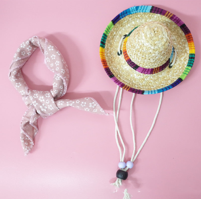 Pet Accessories Summer Outing Set - - Pets Crazy Shops -