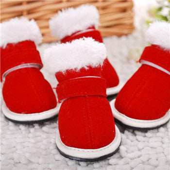 Pet shoes - - Pets Crazy Shops -
