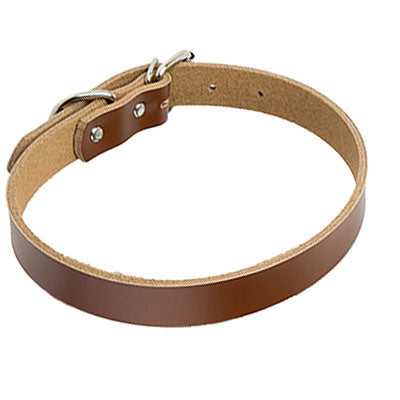 Leather dog collar dog chain - - Pets Crazy Shops -
