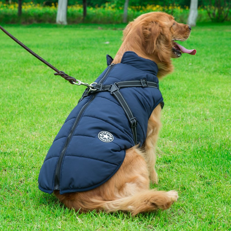 Pet Dog Clothes For Small Dogs Winter Warm Dog Hooded Coat Jackets Chihuahua Pug Outfits Puppy Cat Clothing - - Pets Crazy Shops -