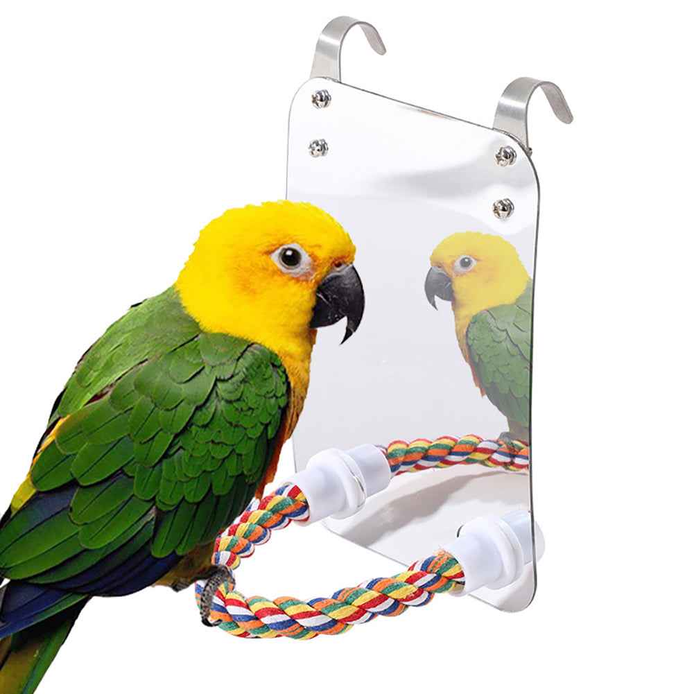 Parrot Toy Acrylic Bird With Mirror - - Pets Crazy Shops -