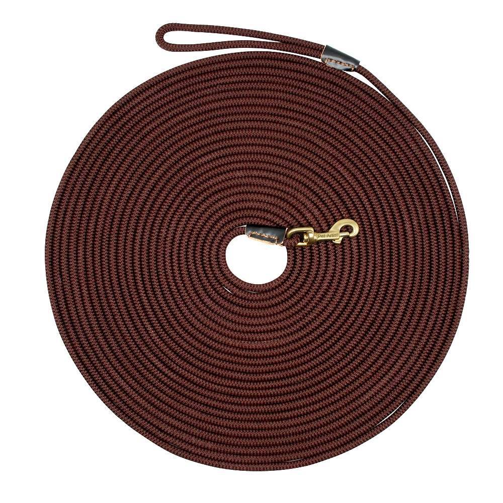 Dog training belt - - Pets Crazy Shops -