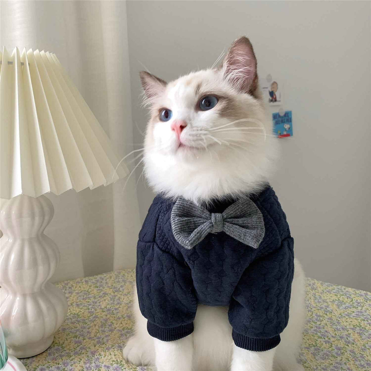Warm And Cute Clothes For Pets Feet - - Pets Crazy Shops -