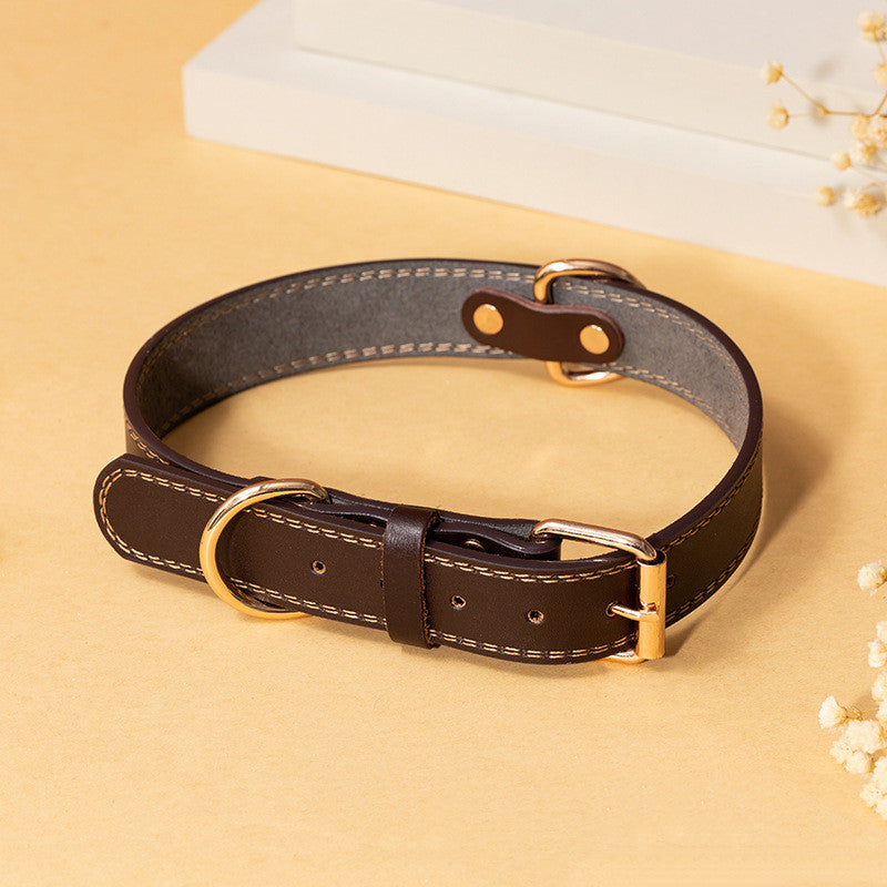 PU Leather Collar Dog Collar - - Pets Crazy Shops -