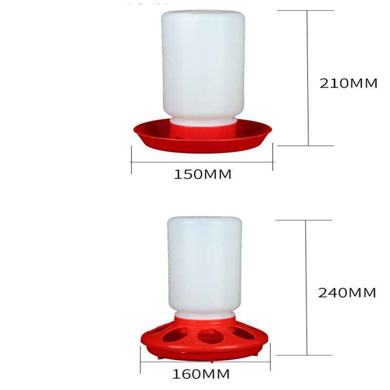 The Bird Feeds The Water Bottle To The Pigeon With A Waterer, Pigeon Trough Screw Mouth - - Pets Crazy Shops -
