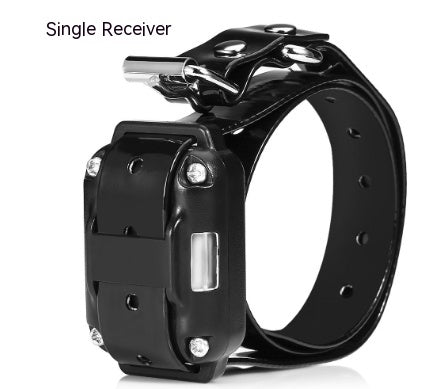 Remote Control Dog Training Device Dog Collar  -  - Pets Crazy Shops -