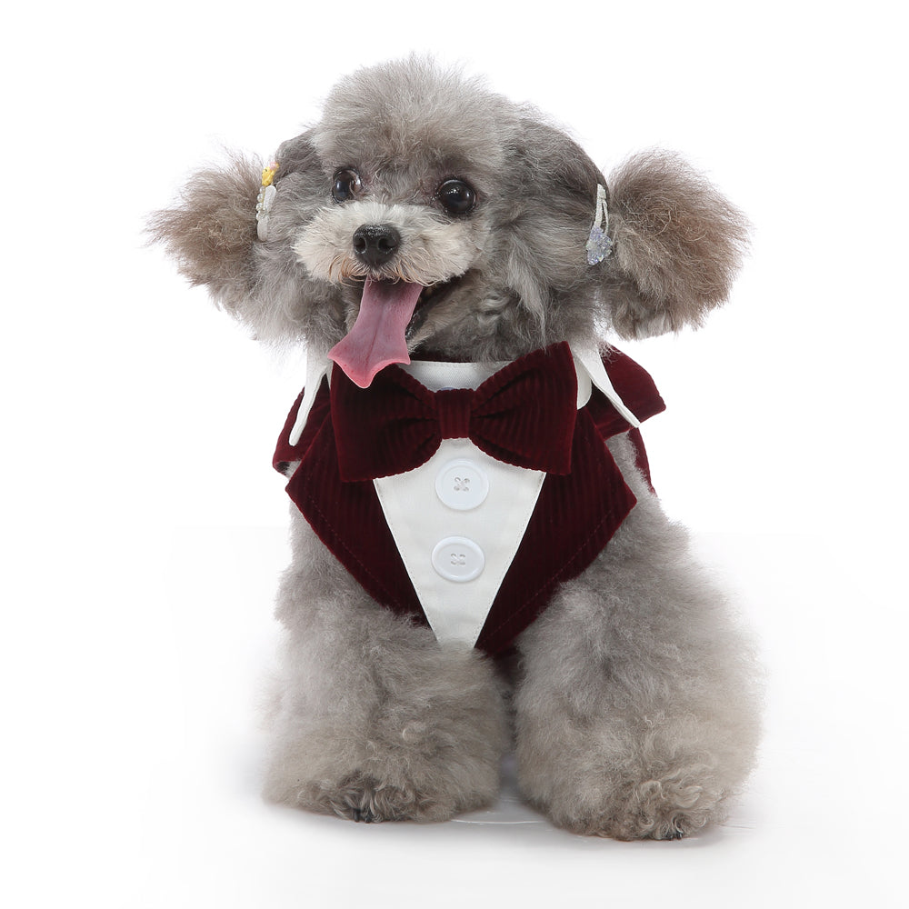 Pet Supplies Clothing Dog Dress Tuxedo  -  - Pets Crazy Shops -