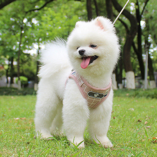 The New Dog Leash Reflective Strips Go Out At Night  -  - Pets Crazy Shops -