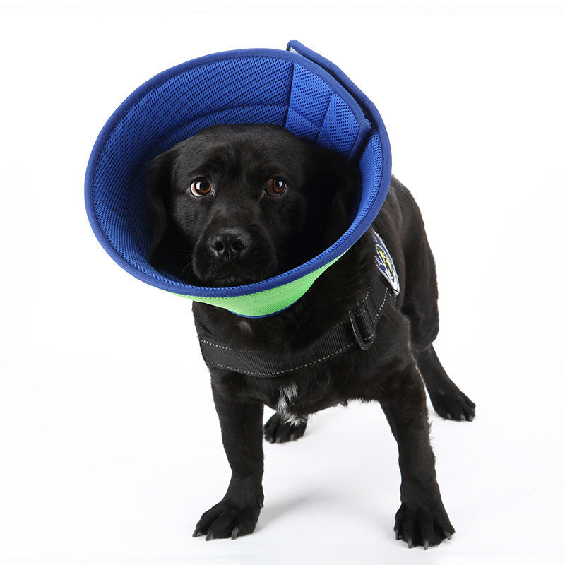 Dog Cat Anti-bite Collar Pet Medical Recovery Collars Transparent Pets Protection Cover Elizabethan Collar Circle For Pet Supplies  -  - Pets Crazy Shops -