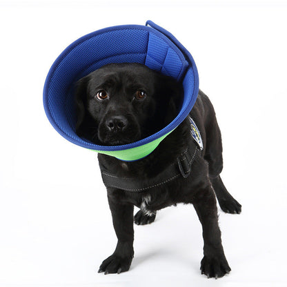 Dog Cat Anti-bite Collar Pet Medical Recovery Collars Transparent Pets Protection Cover Elizabethan Collar Circle For Pet Supplies  -  - Pets Crazy Shops -