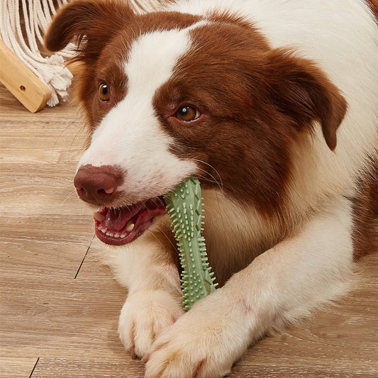 Chewing Dog Chew Toys Dog Toothbrush Teeth Cleaning Kong Dog Toy Pet Toothbrushes Brushing Stick Pet Supplies Puppy Toys  -  - Pets Crazy Shops -