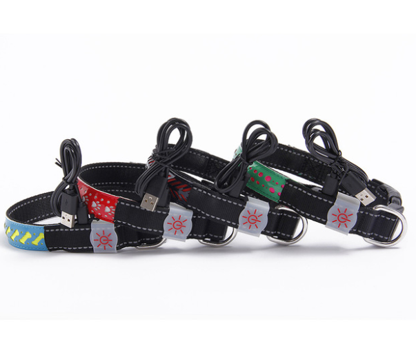 LED light collar pet collar  -  - Pets Crazy Shops -