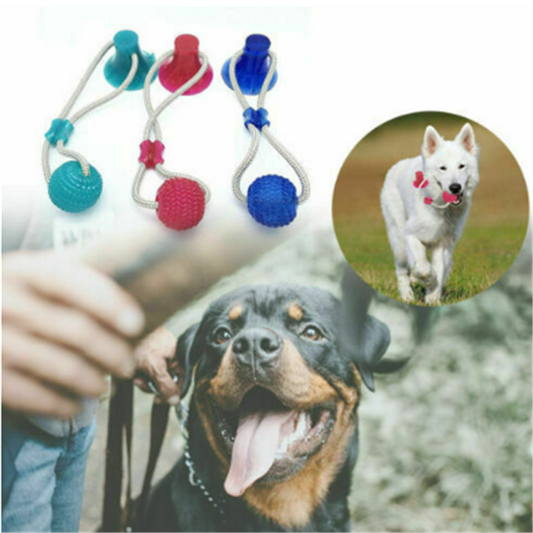 Dog Biting Sucker Multifunction Pet Molar Bite Toy  -  - Pets Crazy Shops -