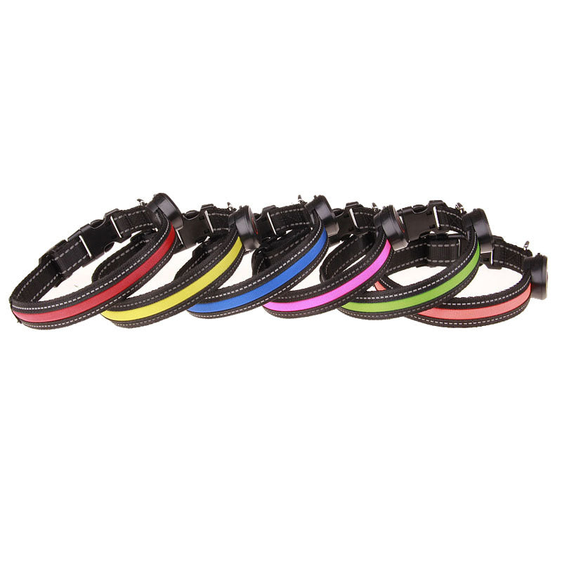 Dog luminous collar  -  - Pets Crazy Shops -