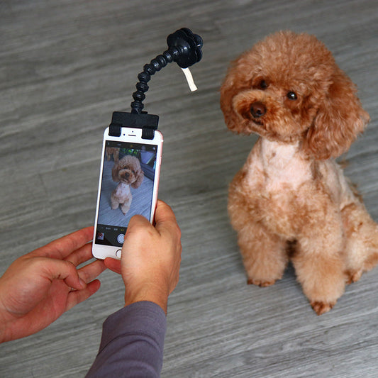 Pet Selfie Stick Pet Supplies Toys Pet Selfie Artifact  -  - Pets Crazy Shops -