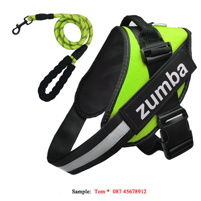 Personalized Reflective Breathable Adjustable Dog Harness and Leash Set  -  - Pets Crazy Shops -