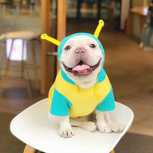 Cute cotton clothes for pets  -  - Pets Crazy Shops -