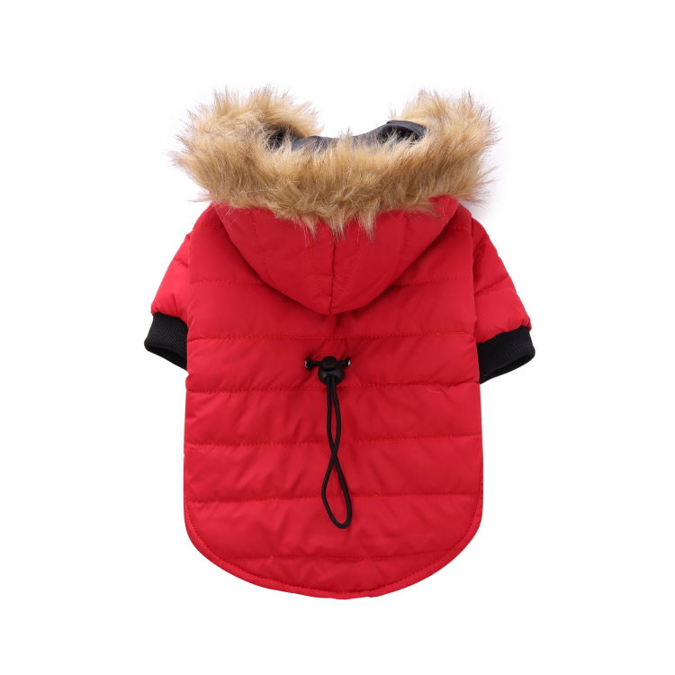 Winter clothing for pets  -  - Pets Crazy Shops -
