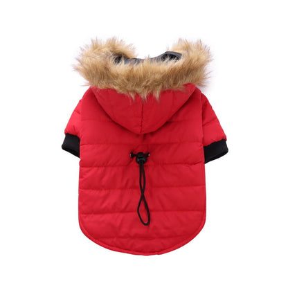 Winter clothing for pets  -  - Pets Crazy Shops -