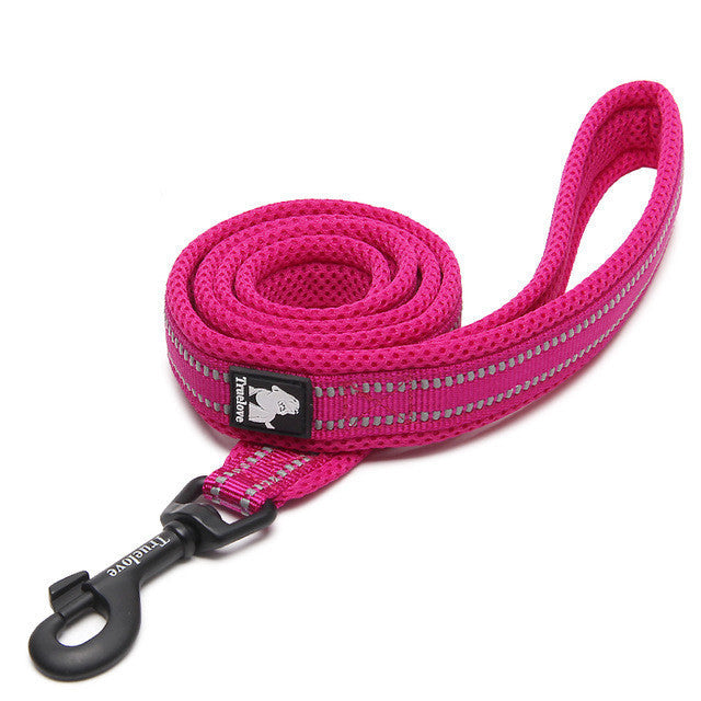 Pet dog leash  -  - Pets Crazy Shops -