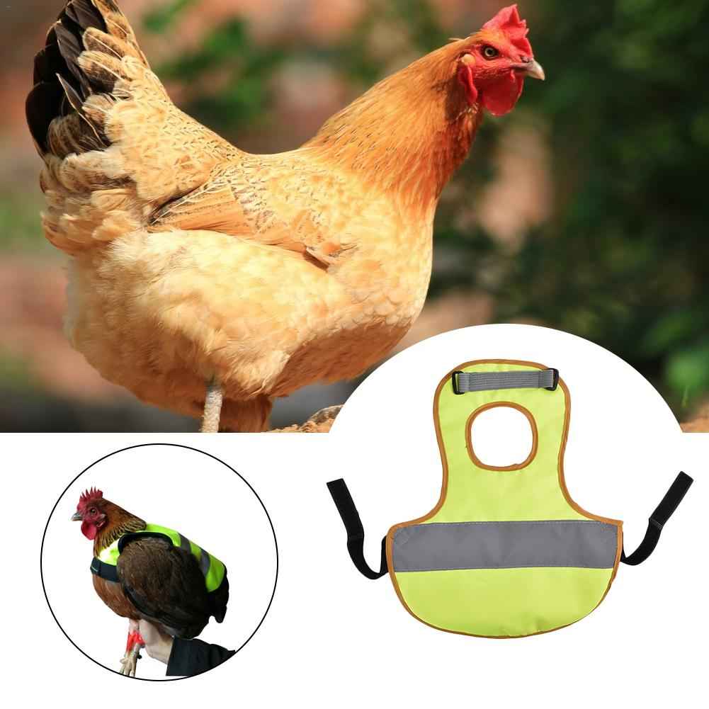 Chicken reflective vest  -  - Pets Crazy Shops -