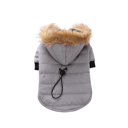 Winter clothing for pets  -  - Pets Crazy Shops -