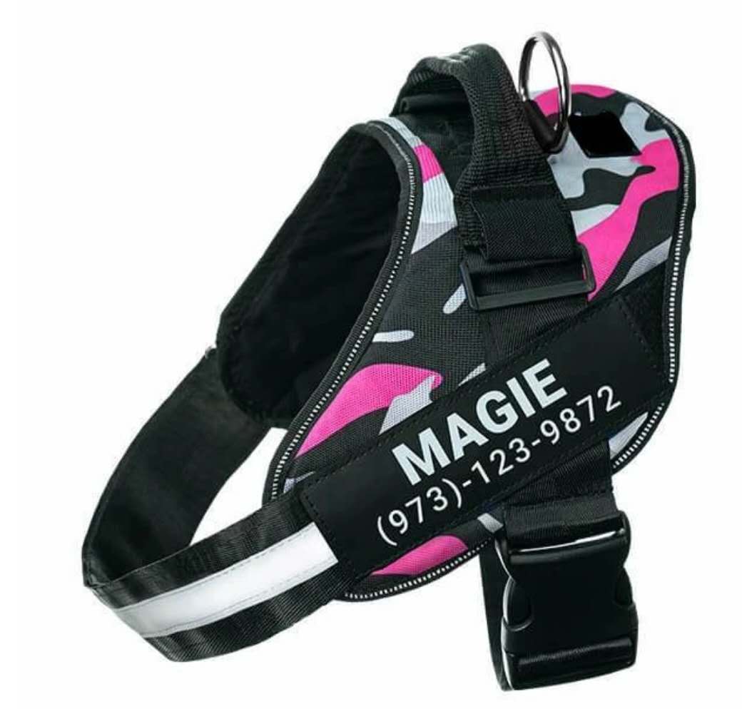 Personalized Custom Reflective Breathable Dog Harness NO PULL Adjustable Pet Harness For Small Large Dog Harness Vest With Patch  -  - Pets Crazy Shops -
