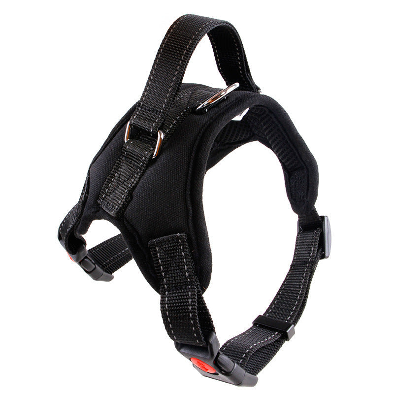 Pet Supplies Medium and Large Dog Dog Collar  -  - Pets Crazy Shops -