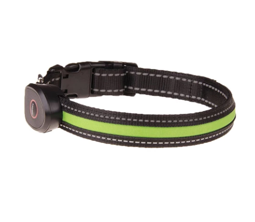 Dog luminous collar  -  - Pets Crazy Shops -