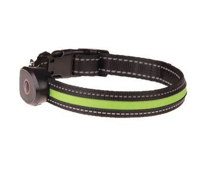 Dog luminous collar  -  - Pets Crazy Shops -