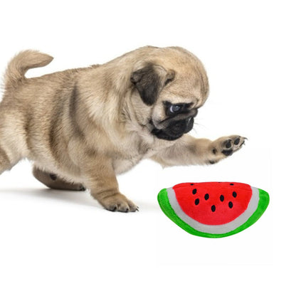 Gooddog, Dog, Plush Vocal Toys, Fruits, Cartoons, Pets, Cats, Toys, Pet Supplies  -  - Pets Crazy Shops -