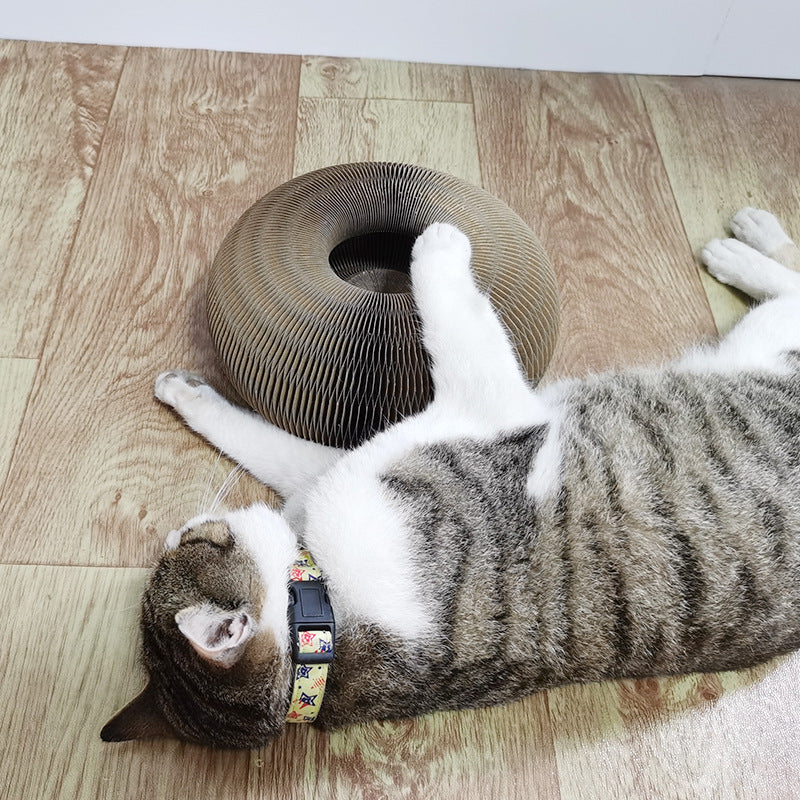 Magic Organ Cat Scratchers 2 In 1 Funny Shaped Cat Scratching Board Foldable Convenient Recyclable Durable Cat Scratcher  -  - Pets Crazy Shops -