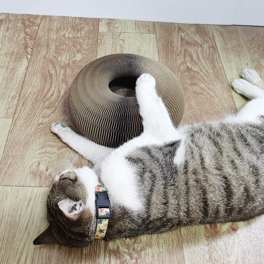 Magic Organ Cat Scratchers 2 In 1 Funny Shaped Cat Scratching Board Foldable Convenient Recyclable Durable Cat Scratcher  -  - Pets Crazy Shops -