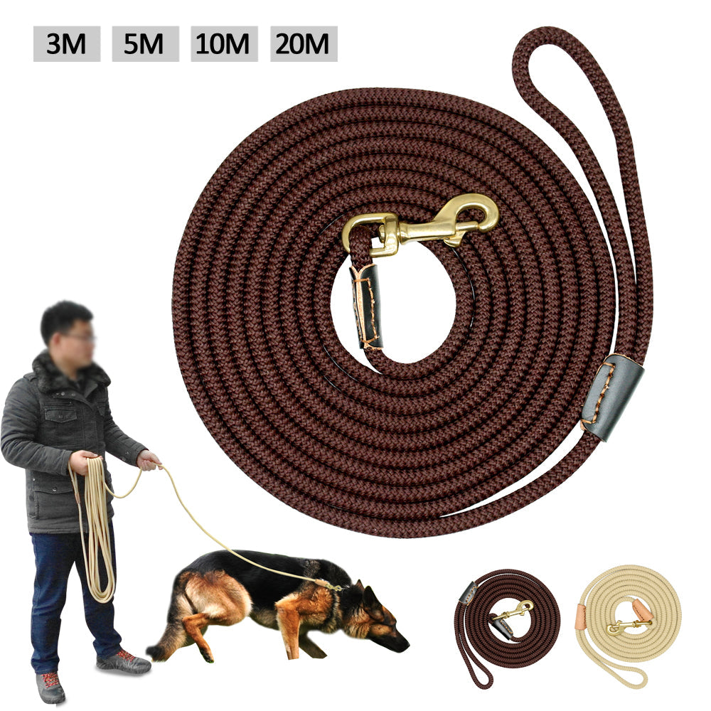 Dog training belt  -  - Pets Crazy Shops -