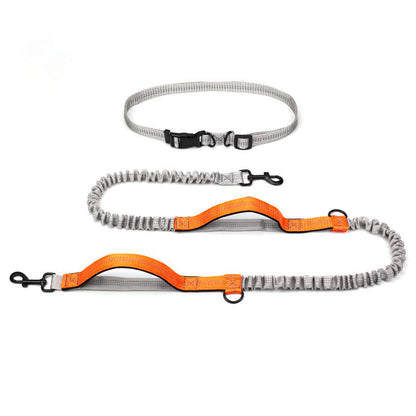 Pet Supplies Outdoor Running Dog Leash  -  - Pets Crazy Shops -