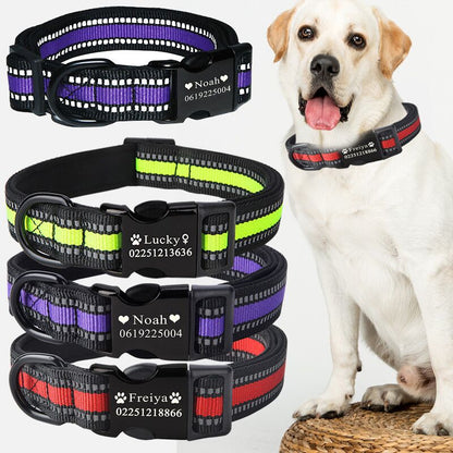 Custom dog collar  -  - Pets Crazy Shops -