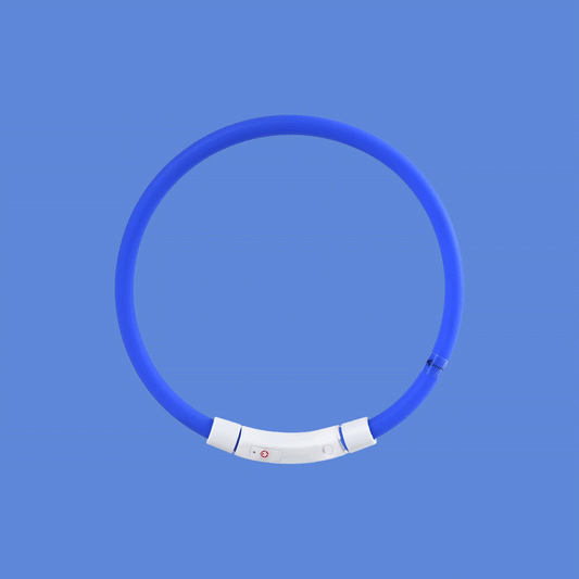 Pet Light Collar Anti-Lost Collar for Dogs Pet Collars  -  - Pets Crazy Shops -