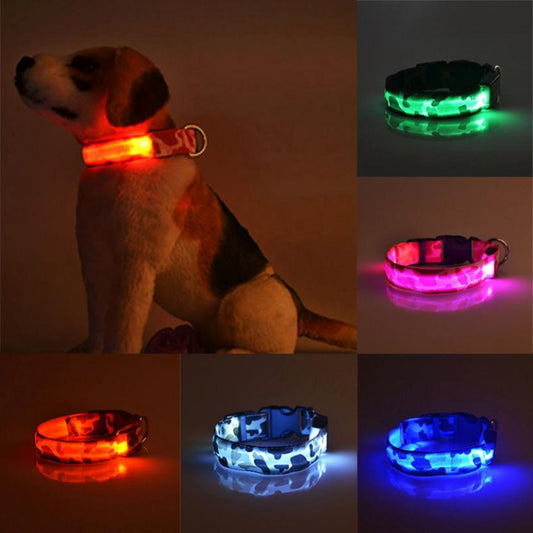 Camouflage pet supplies luminous dog collar  -  - Pets Crazy Shops -