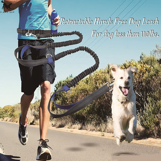 Amazon direct pet supplies multi-function running reflective pull dog leash double elastic dog leash traction  -  - Pets Crazy Shops -
