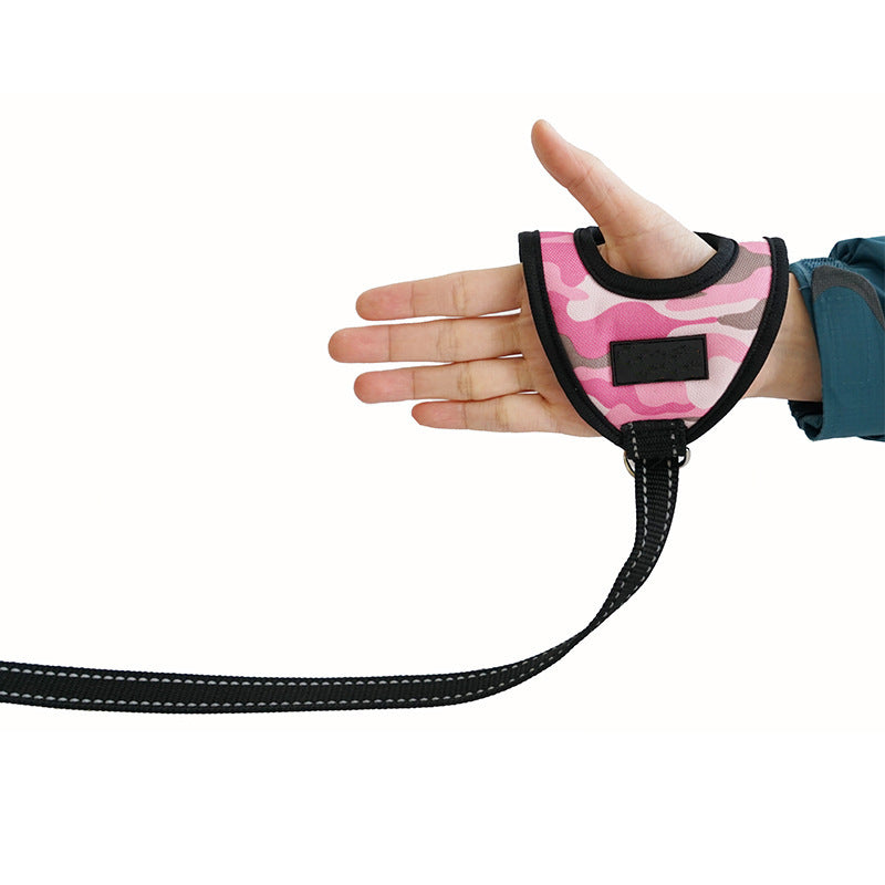 A pet on a harness  -  - Pets Crazy Shops -