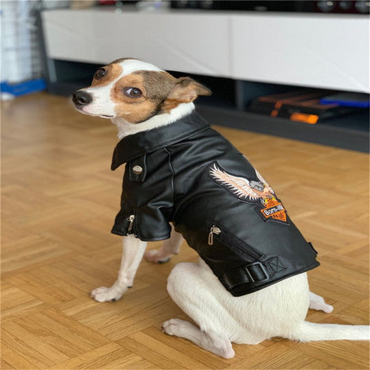 Dog coat  -  - Pets Crazy Shops -