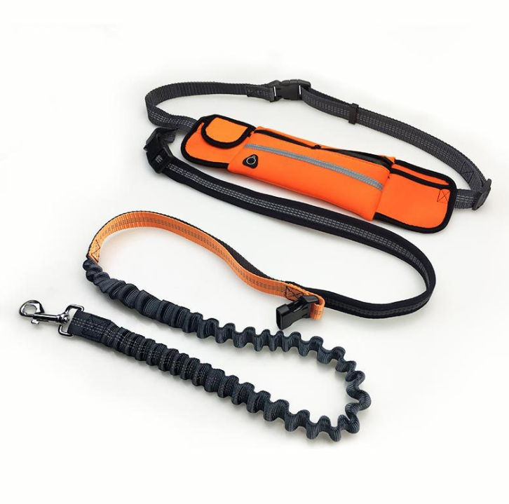 Hands-Free Dog Running Leash with Waist Pocket Adjustable Belt Shock Absorbing Bungee  -  - Pets Crazy Shops -