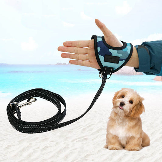 A pet on a harness  -  - Pets Crazy Shops -