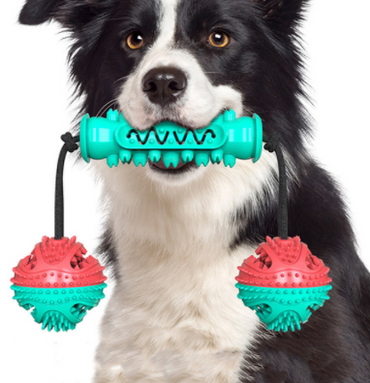 Dog Chew Toy & Toothbrush Rubber Bone | 360° Teeth Cleaning Molar Toy